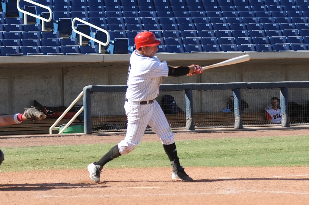 Seals_2017-10-09 (594).jpg - (c)2010 DeVetter